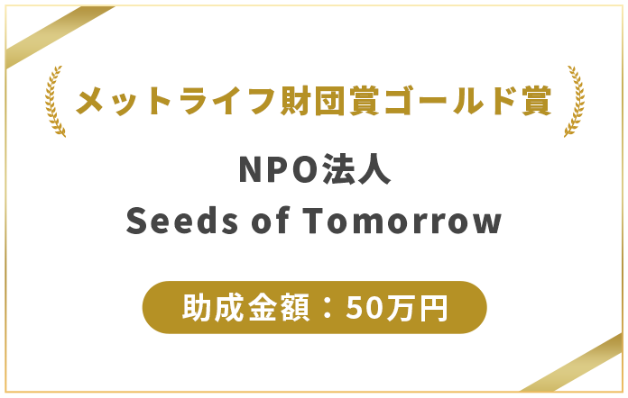 メットライフ財団賞ゴールド賞